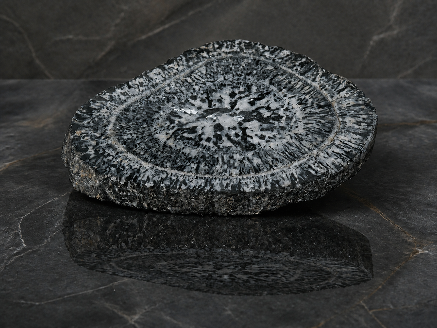 Boogardie orbicular granite specimen, partially polished face, front view