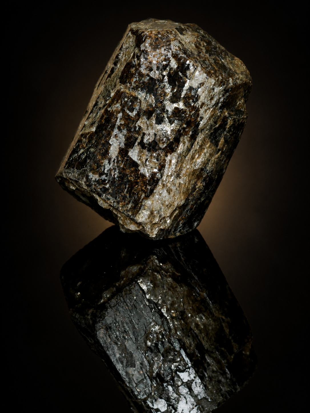 Black Tourmaline (Schorl) in Quartz & Mica — 373 g, mineral specimen, close-up detail.
