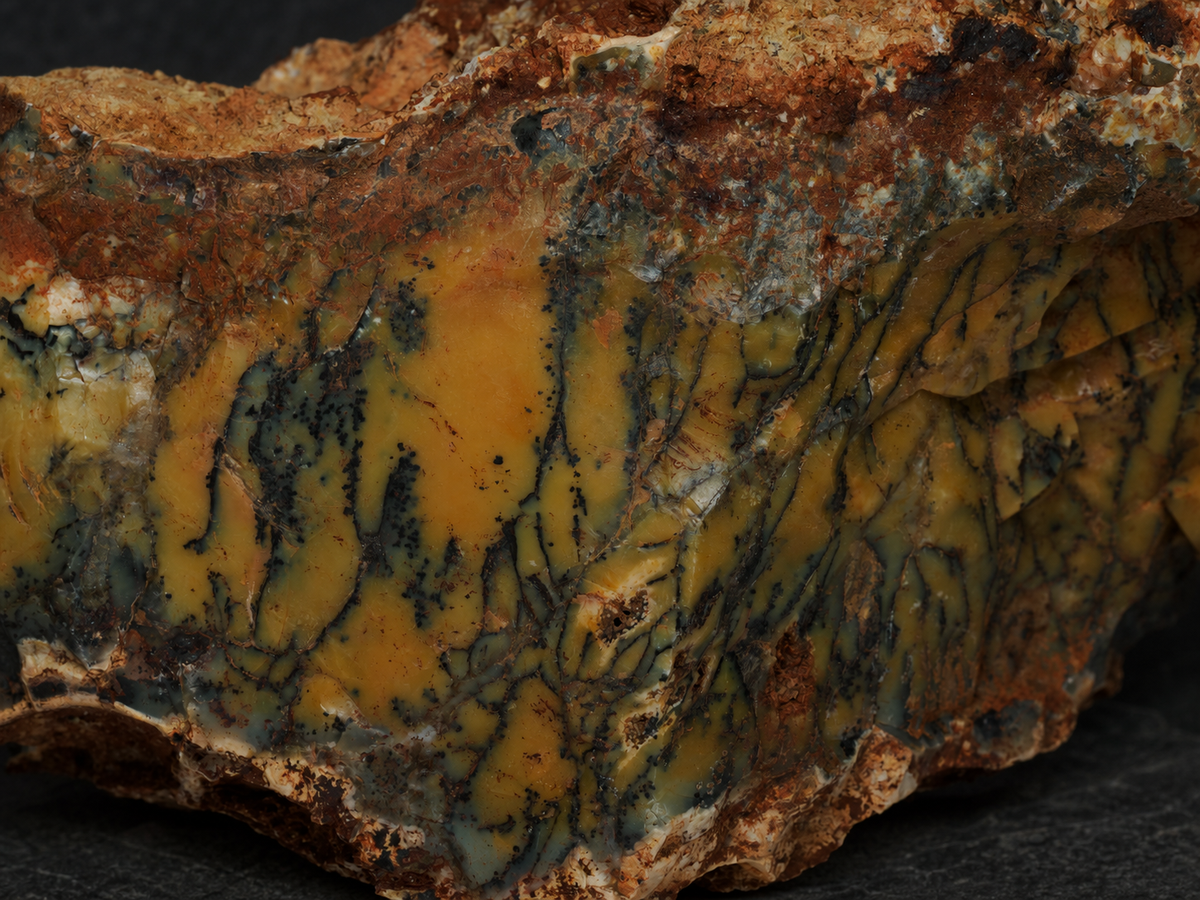 Dendritic Opalite Specimen — Mineral Forest, 309 g, mineral specimen, close-up detail.