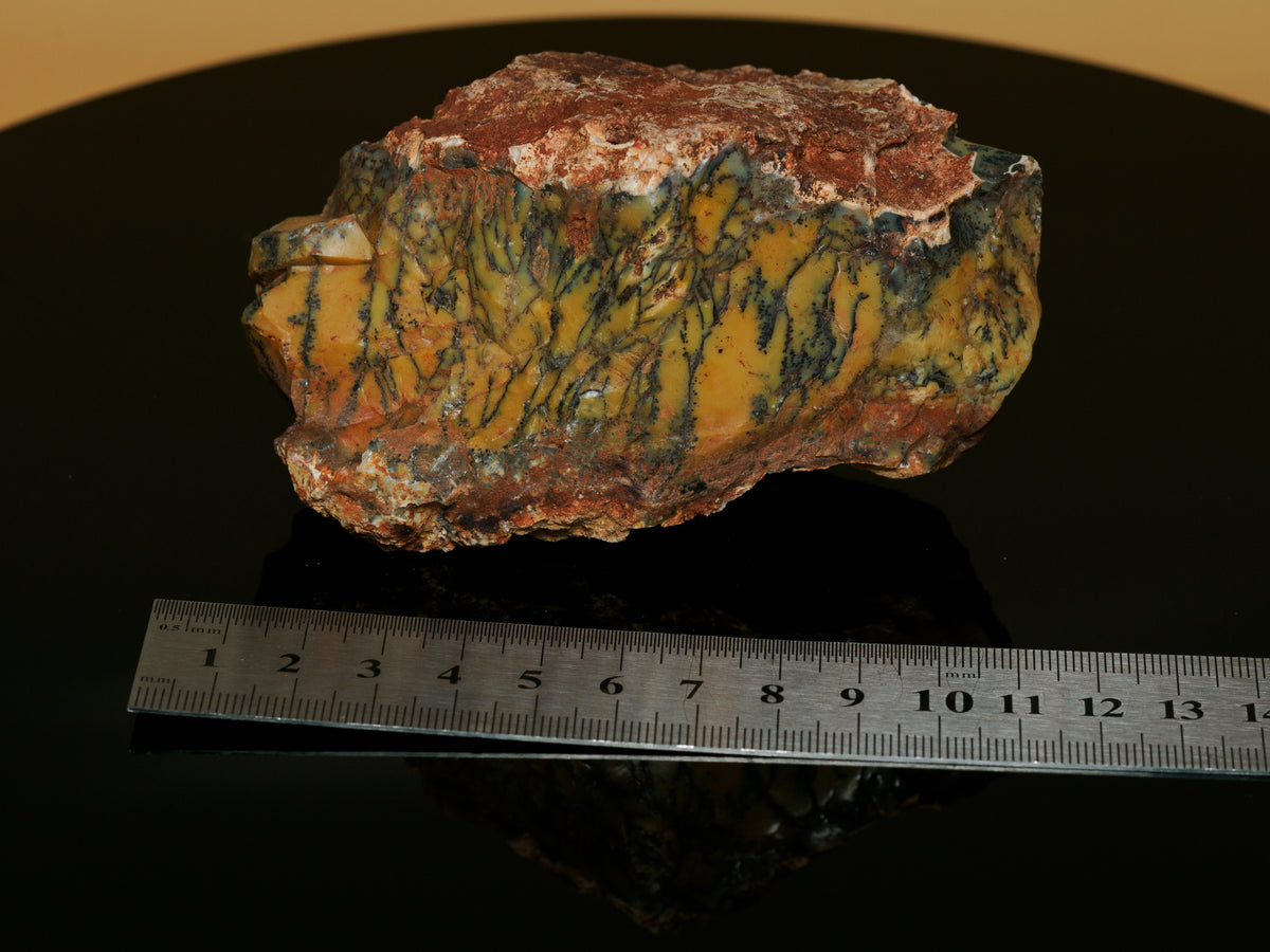 Dendritic Opalite Specimen — Mineral Forest, 309 g, mineral specimen, reverse view.