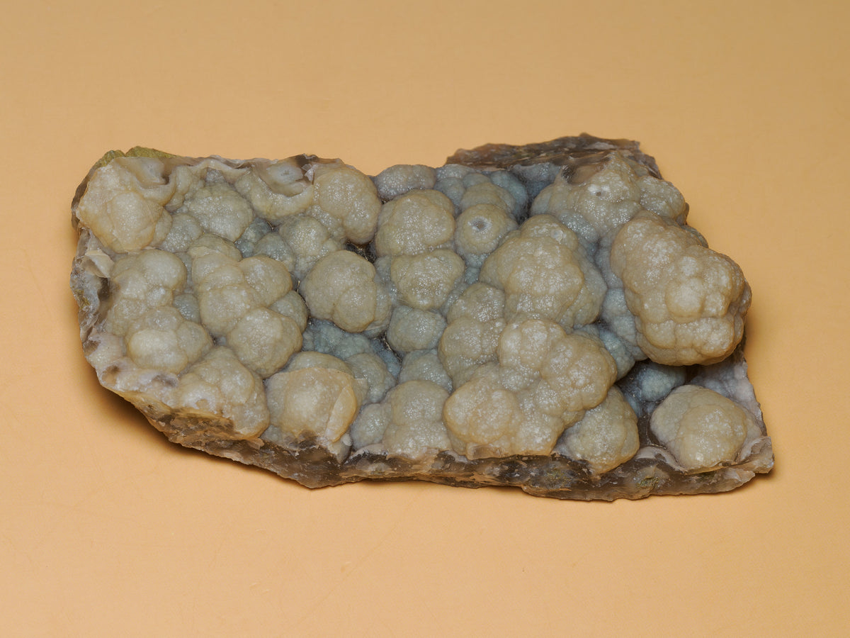 Cream botryoidal chalcedony formations on a natural silica-replaced wood matrix, front view