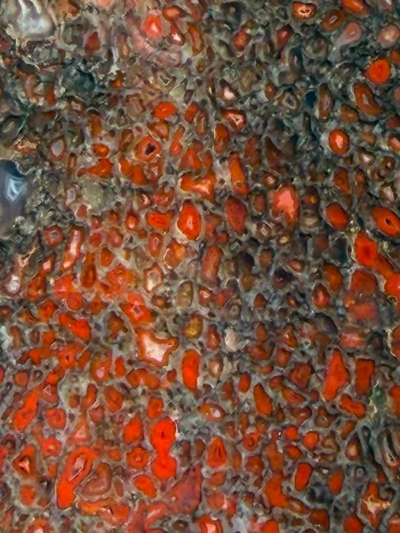 Close-up of red and orange dinosaur gem bone cell pattern, supplier photograph