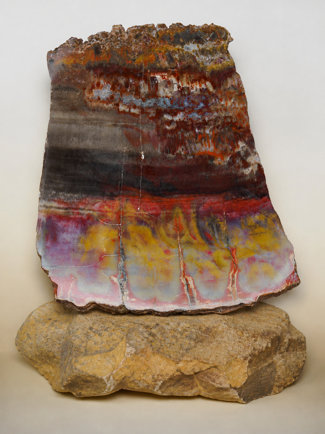 Front view of the colourful Arizona petrified wood slab resting on a natural warm-toned rock base