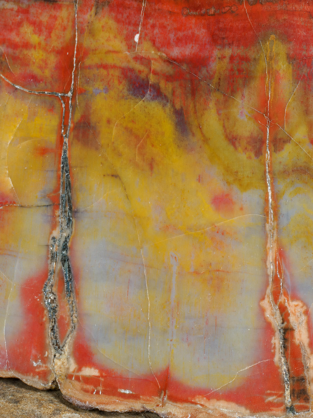 Close detail of the polished Arizona petrified wood face with natural rock base