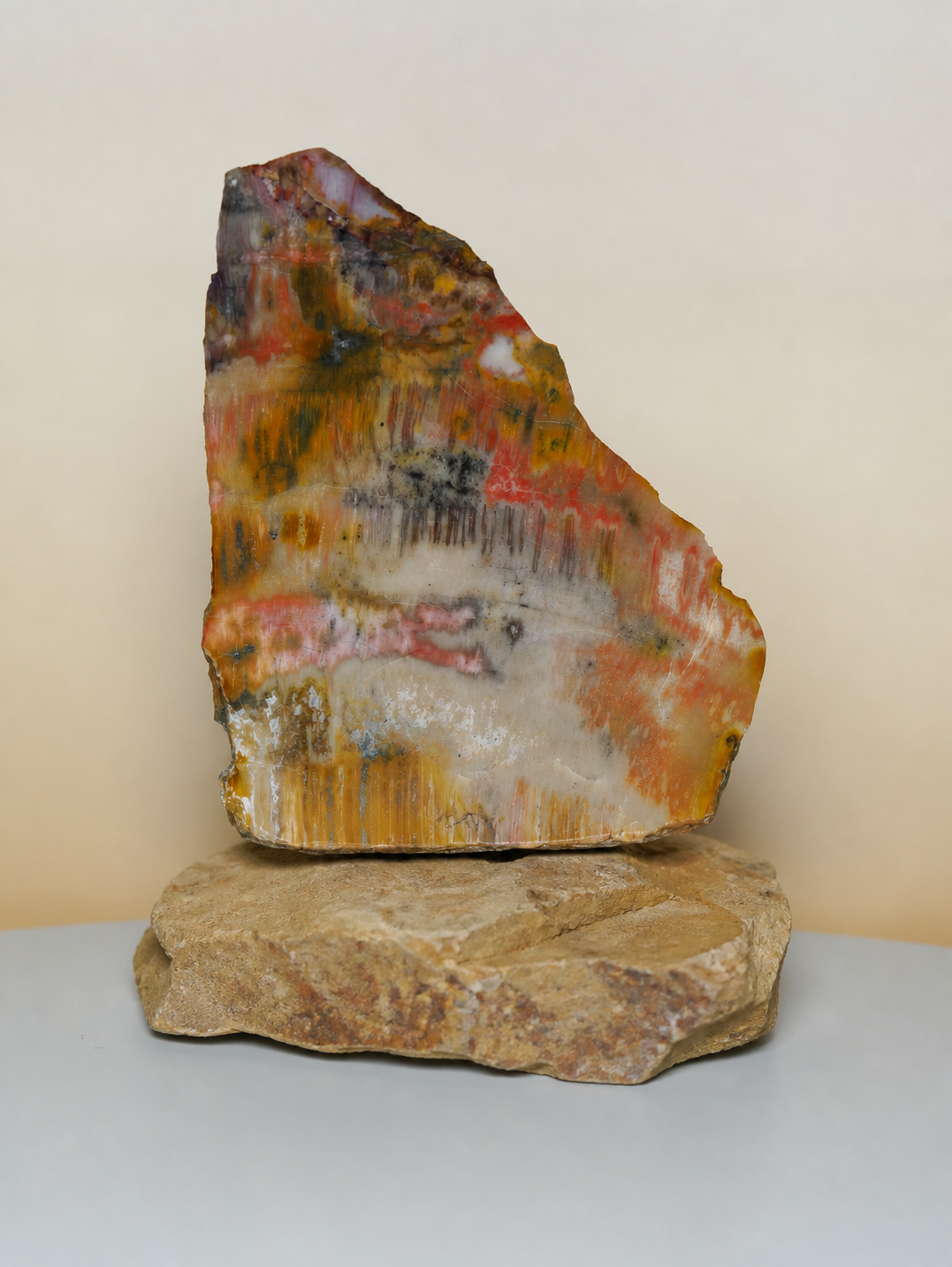 Arizona rainbow petrified wood slab resting on a natural stone base, alternate display view