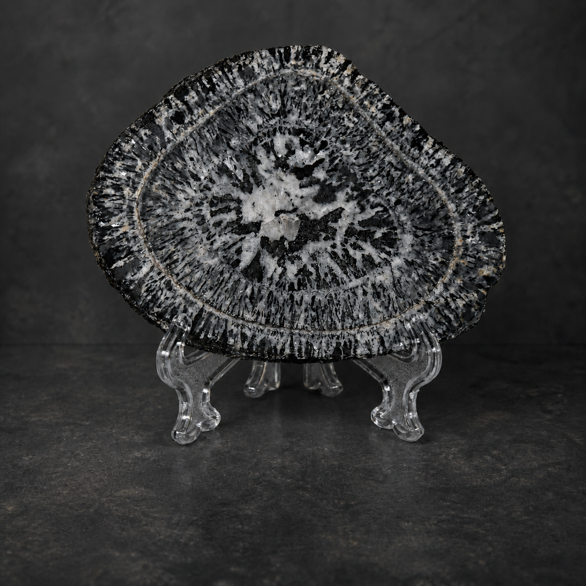 Boogardie orbicular granite specimen displayed on clear acrylic stand