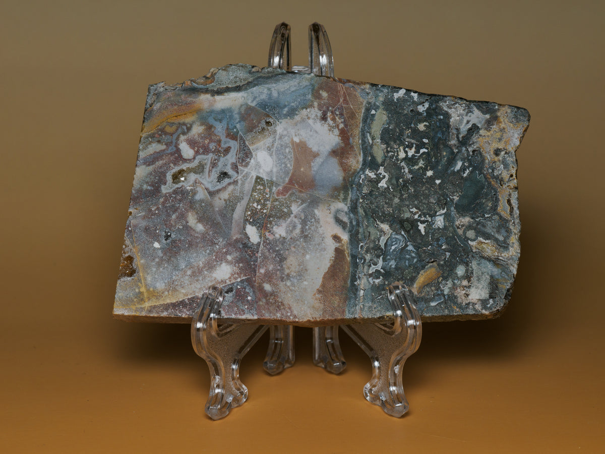 Brecciated jasper with agate slab displayed upright, reverse face with blue-grey and cream areas.