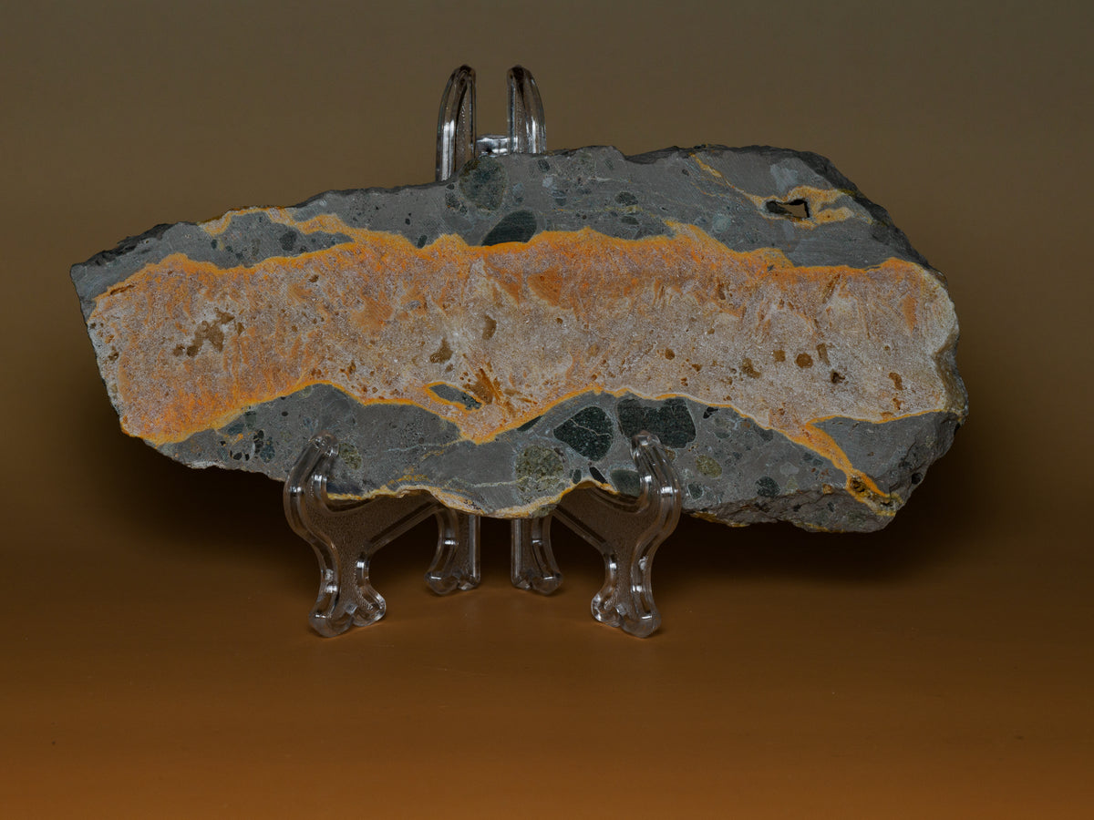 Reverse view of the same bumblebee jasper slab with natural rough edges and broad orange band