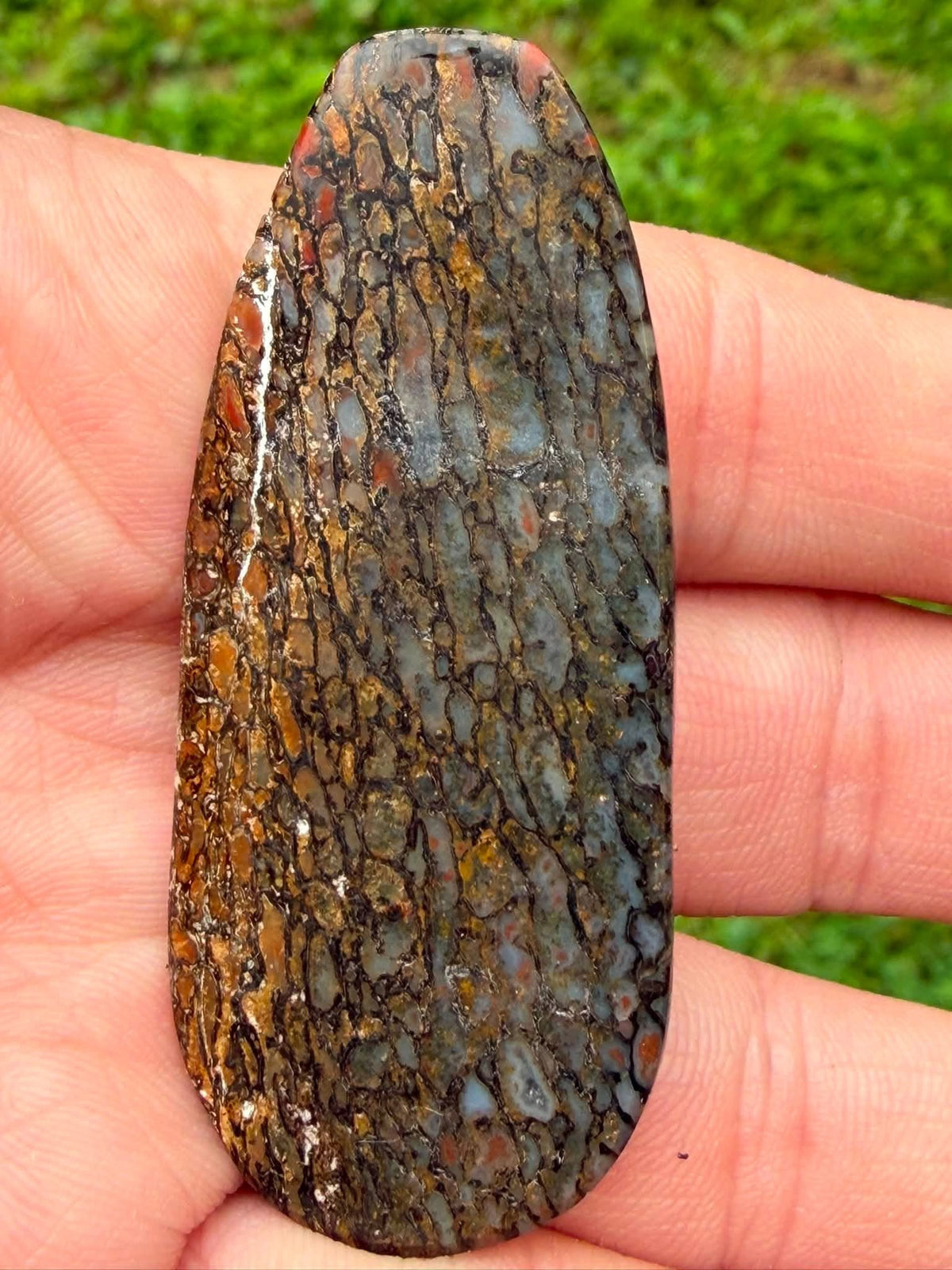Supplier photo of the reverse side of the dinosaur gem bone cabochon
