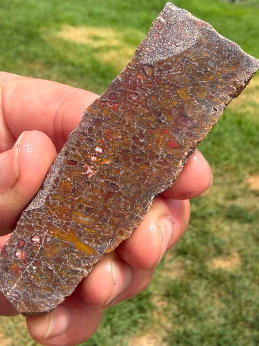 Supplier photograph of the dinosaur gem bone slab showing its golden brown and red cell pattern