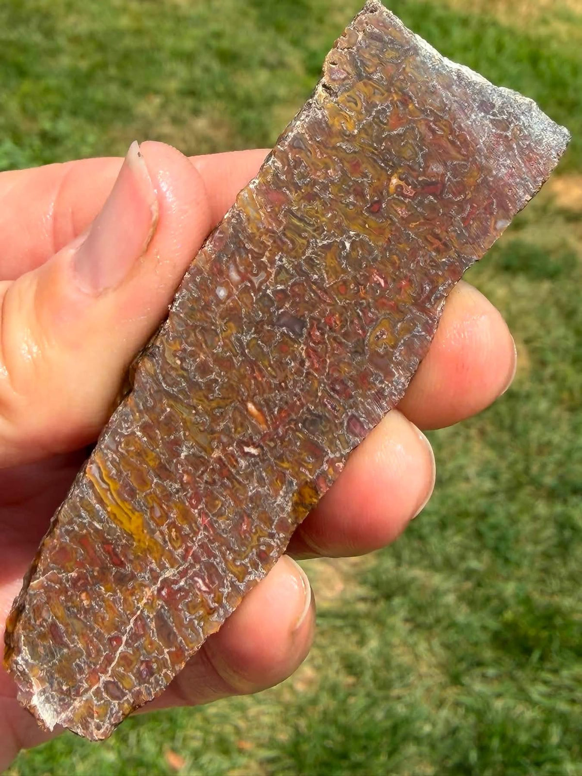 Supplier photograph of the reverse face of the dinosaur gem bone slab