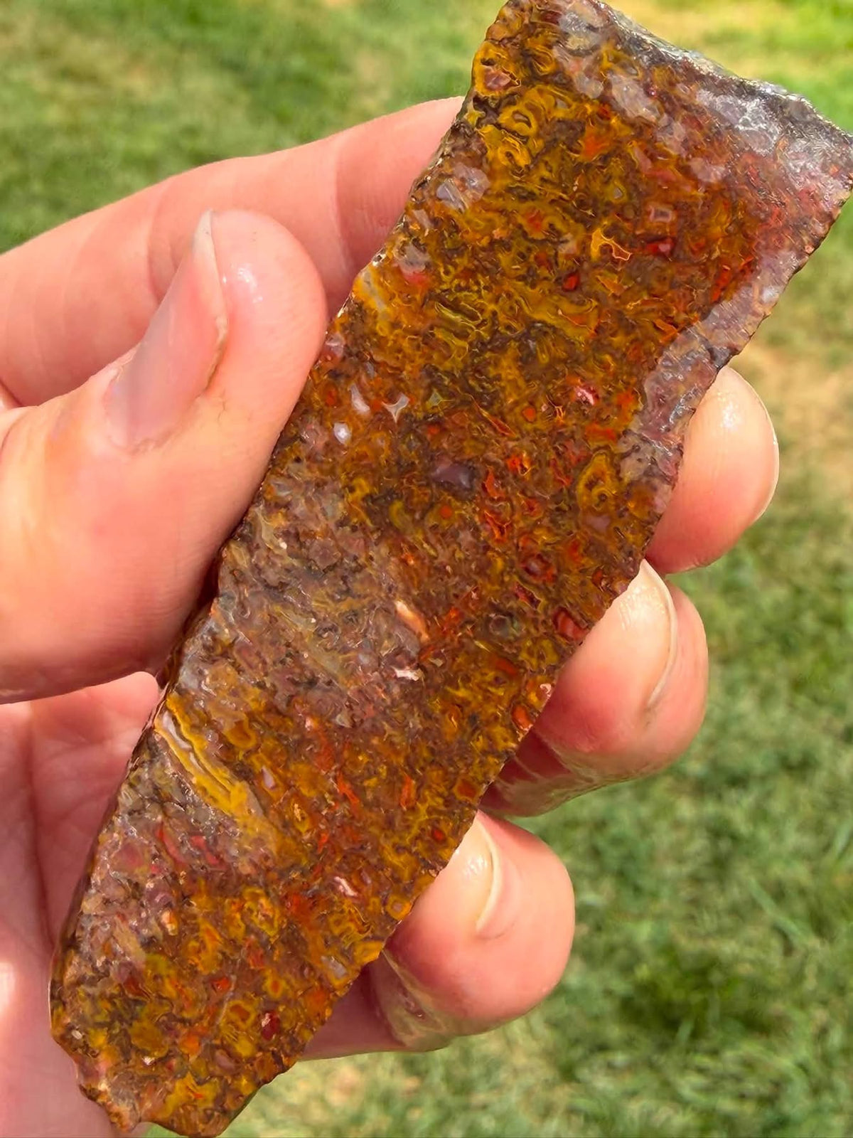 Supplier photograph of the golden and red face of the dinosaur gem bone slab