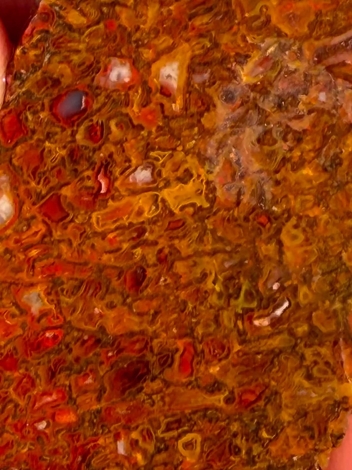 Supplier close-up photograph of the dinosaur gem bone cell pattern