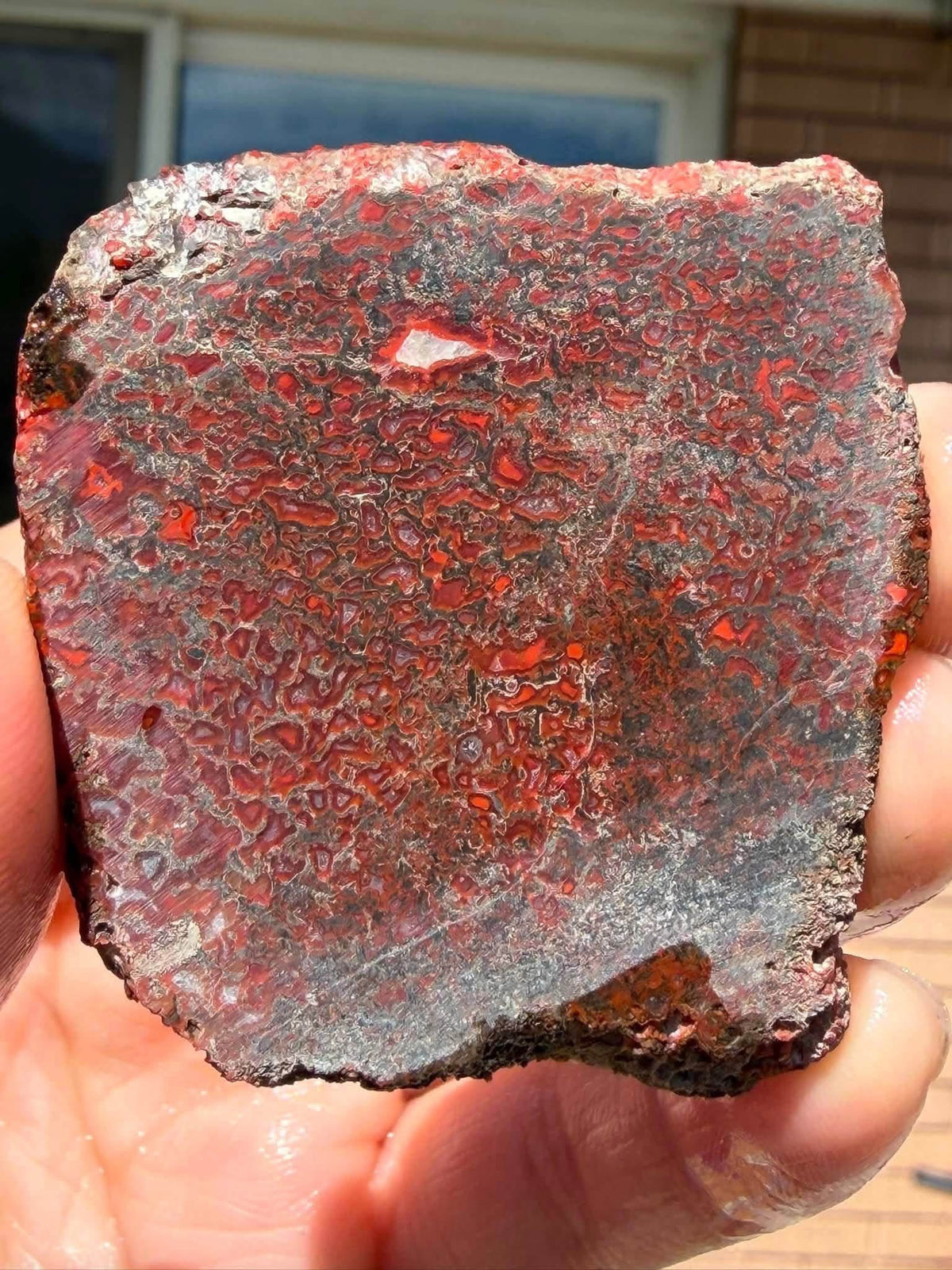 Supplier photograph of the reverse face of the dinosaur gem bone slab