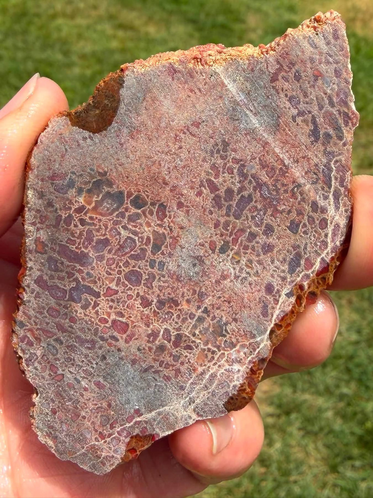 Supplier photograph of the reverse face of the dinosaur gem bone slab