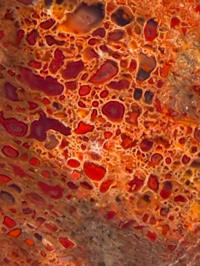 Supplier close-up photograph of the dinosaur gem bone cell pattern