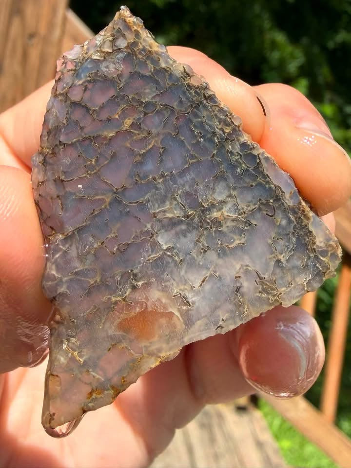 Supplier photo of the translucent purple-grey dinosaur gem bone slab