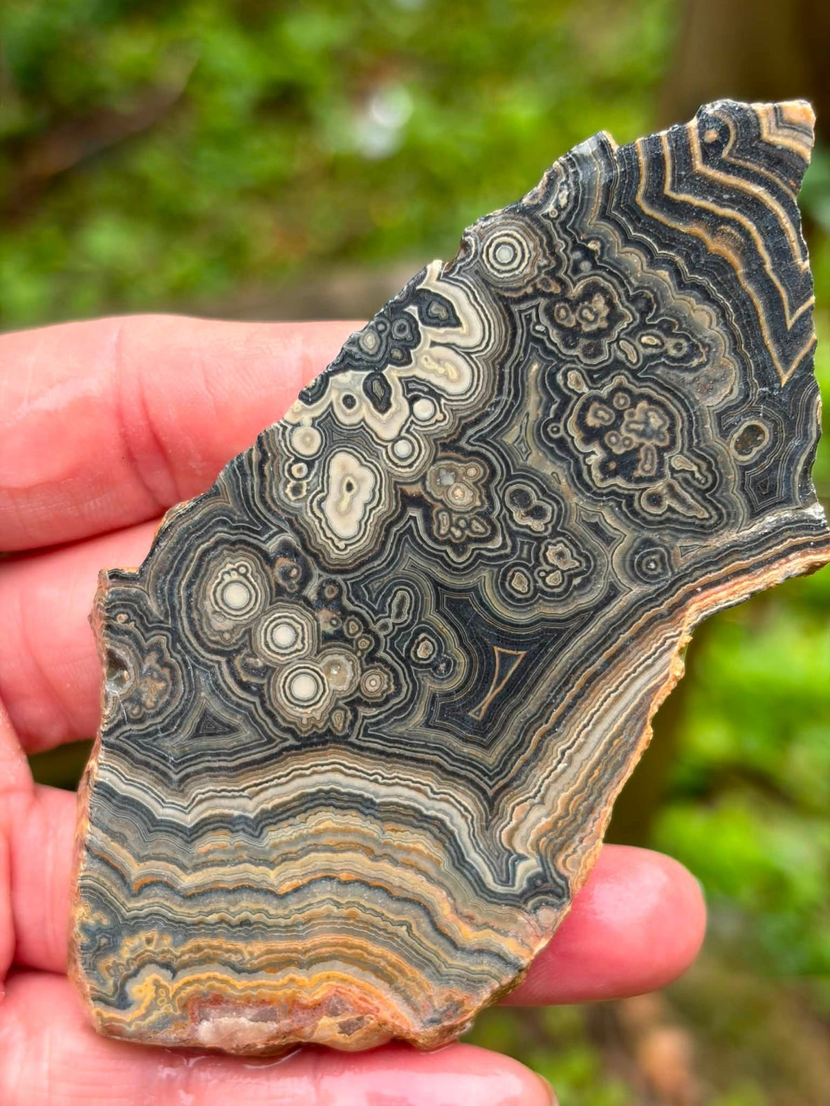 Supplier detail photograph of the banded flowering tube onyx slab
