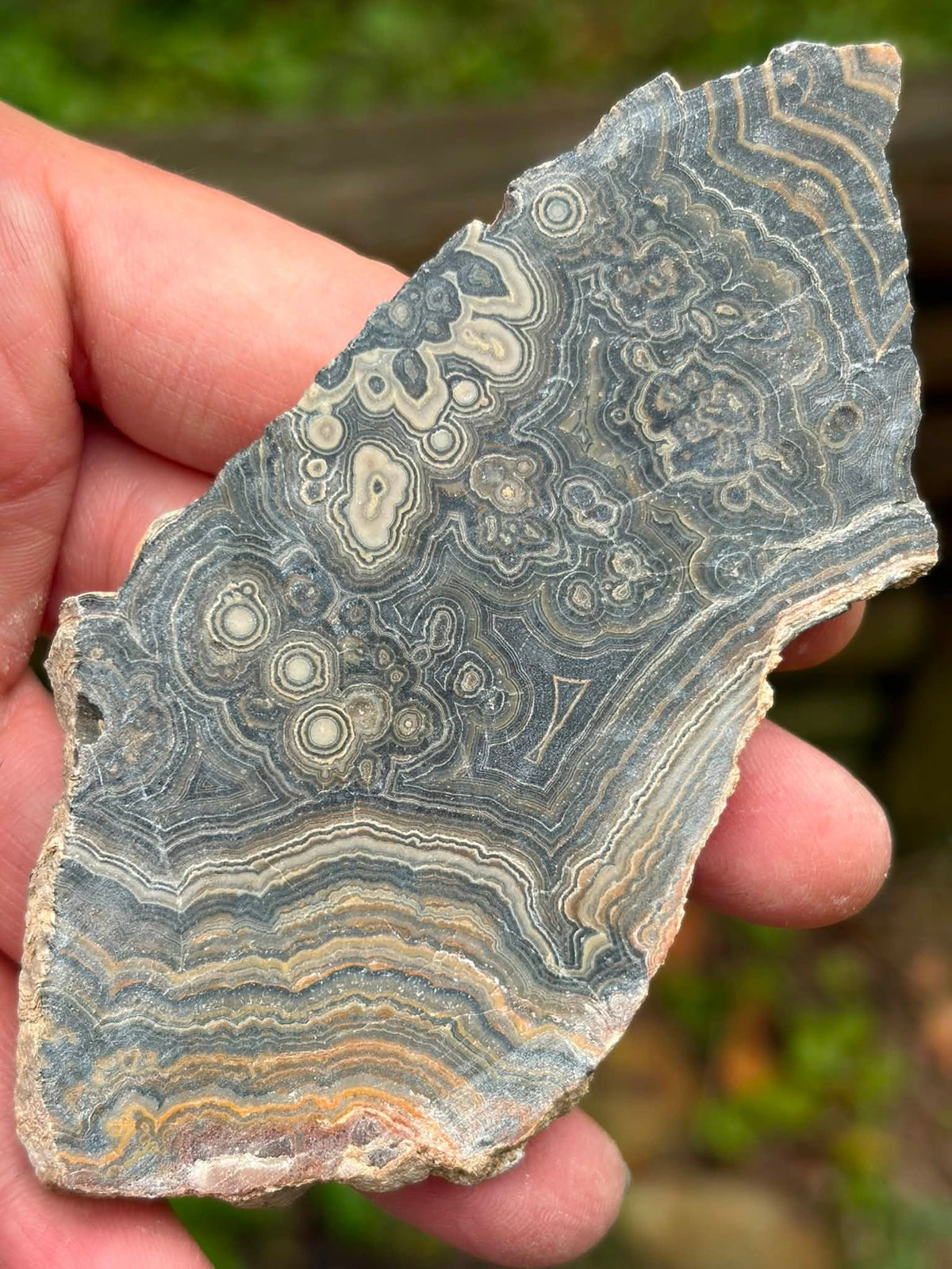Supplier photograph of flowering tube onyx slab shown dry outdoors
