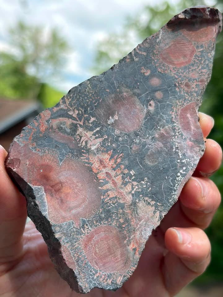 Galaxy Rhyolite slab back view