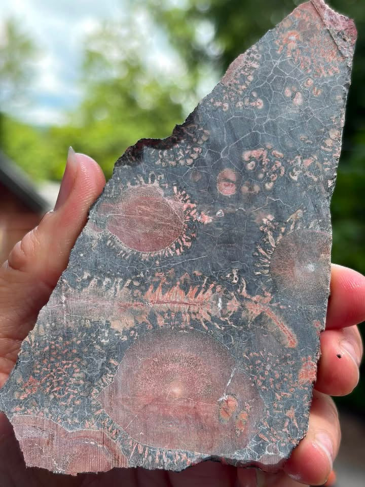 Galaxy Rhyolite slab reverse view