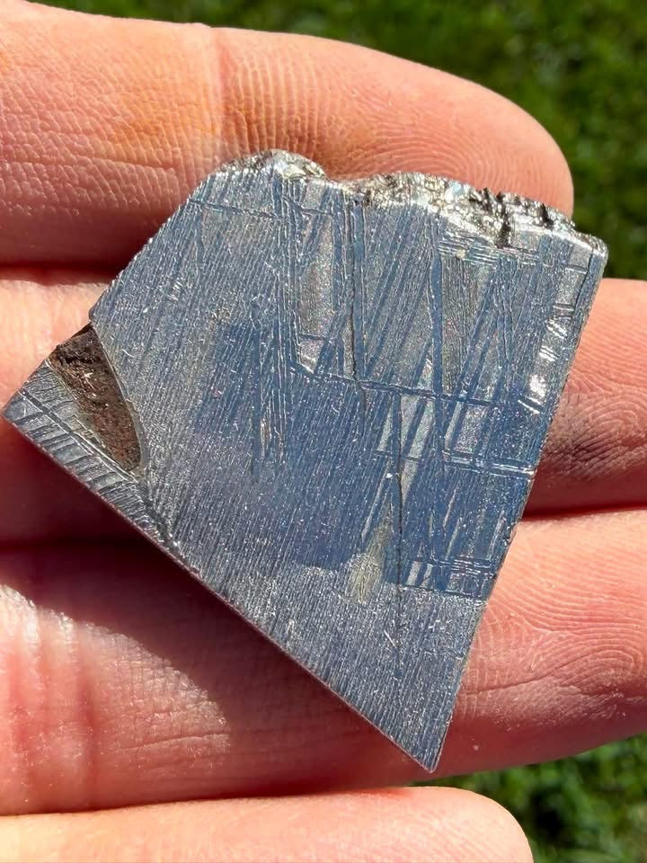 Supplier photo of an etched Gibeon iron meteorite slice showing its Widmanstätten pattern