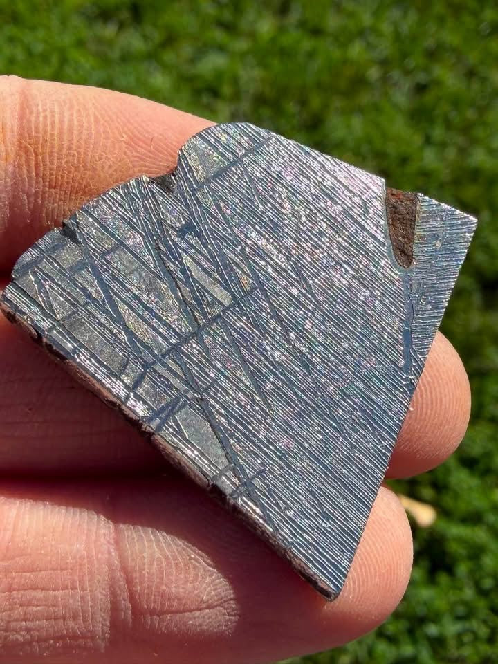 Supplier photo of an etched Gibeon iron meteorite slice from the reverse view