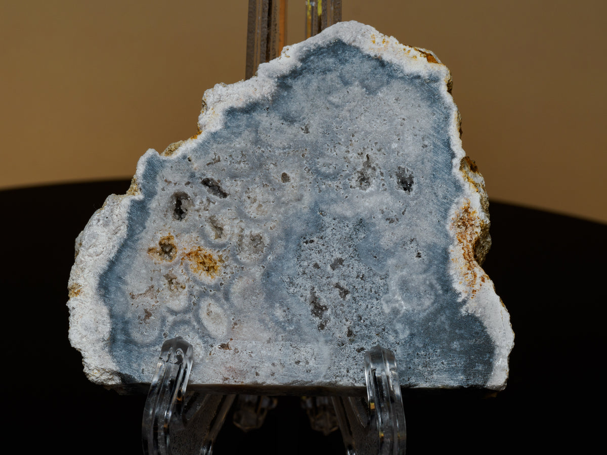Full view of the 66 gram fossil coral slab upright on a clear stand, showing its pale blue-grey face, white border and natural ochre traces.