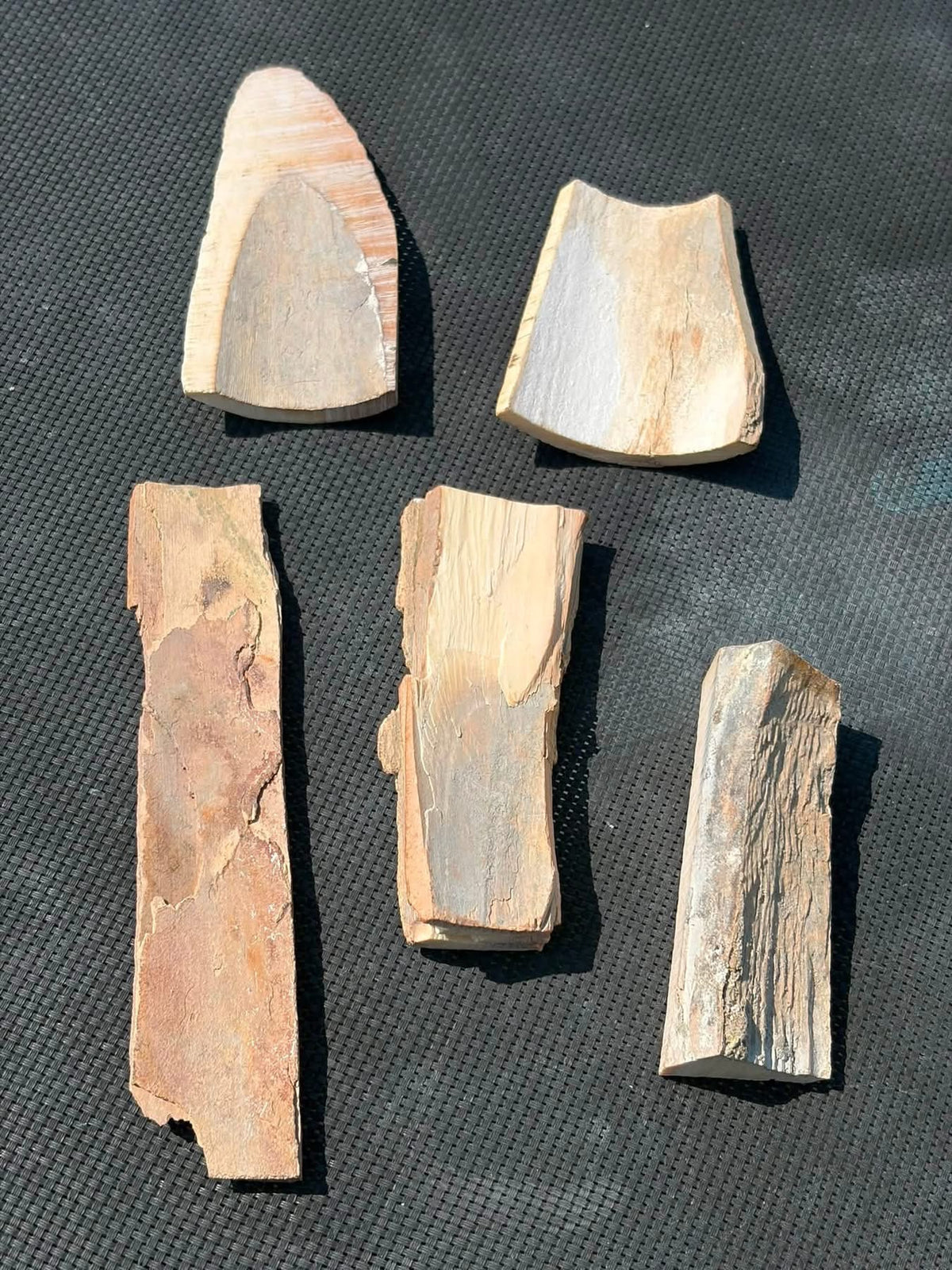 Supplier photograph showing the cut faces of the mammoth ivory pieces