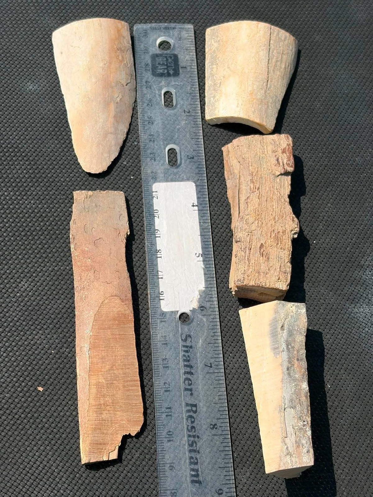 Supplier photograph of the mammoth ivory pieces with a ruler for scale