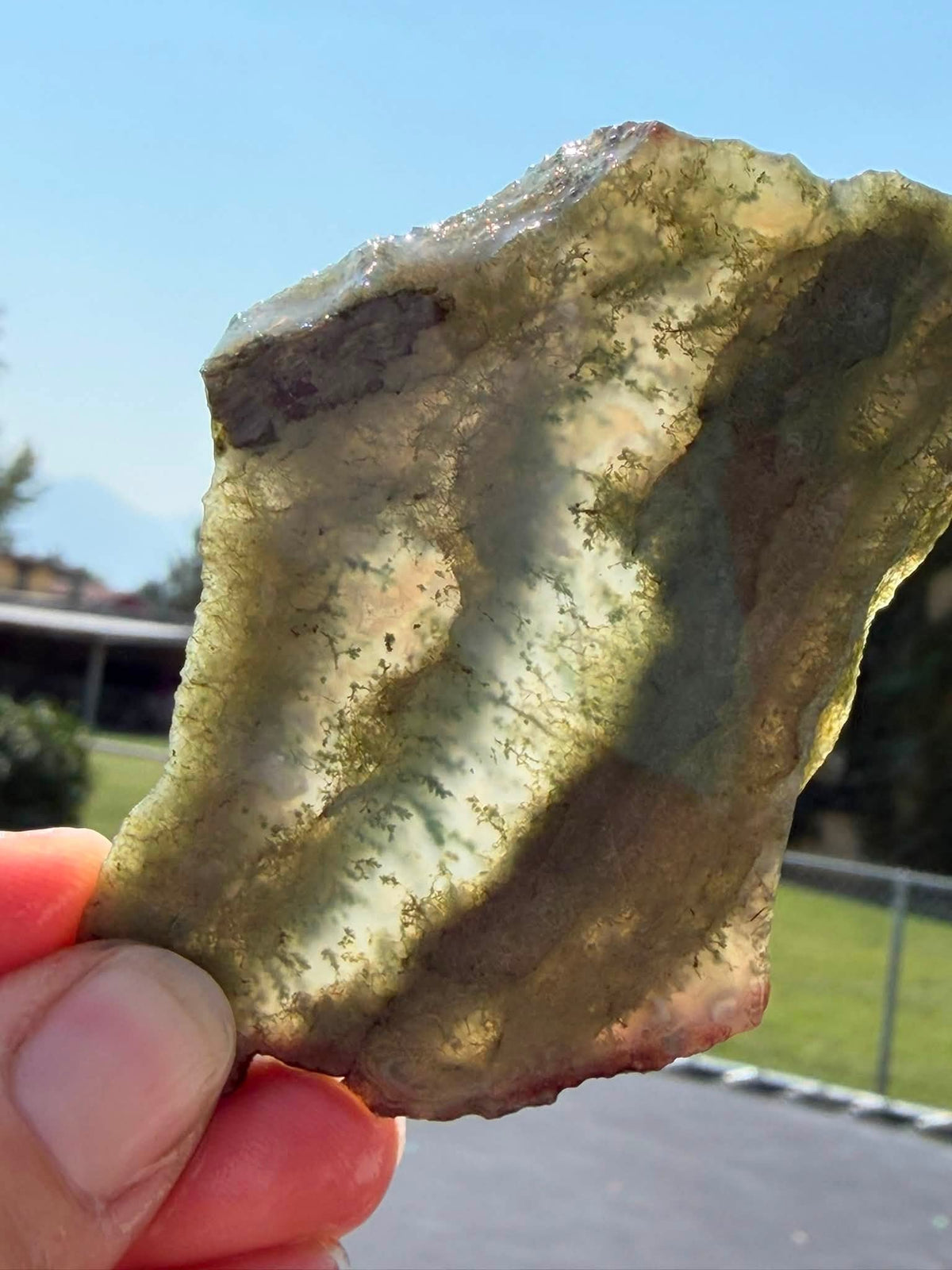 Supplier photograph of a translucent green moss agate slab held to the light
