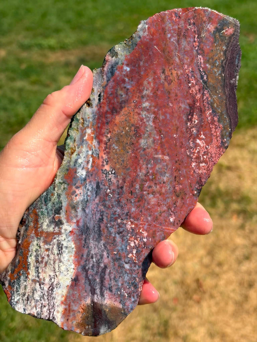 Supplier detail photograph of the Ocean Jasper slab surface