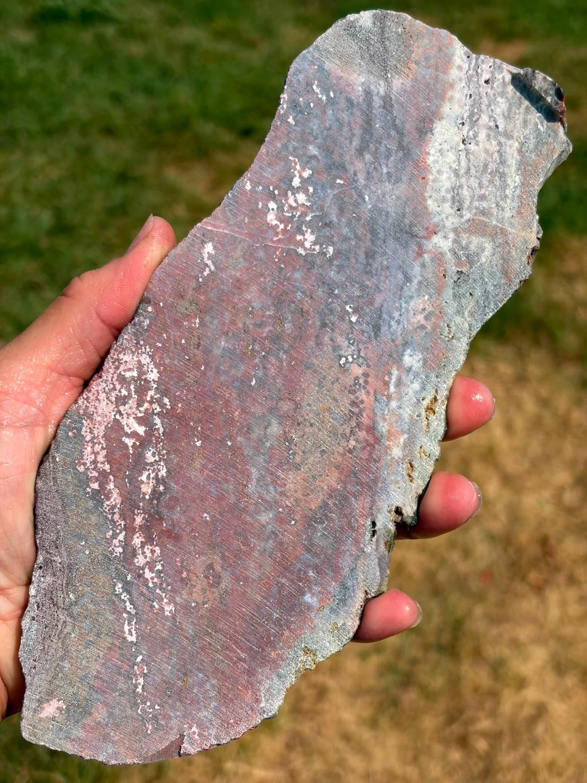 Supplier photograph of Ocean Jasper slab shown dry outdoors