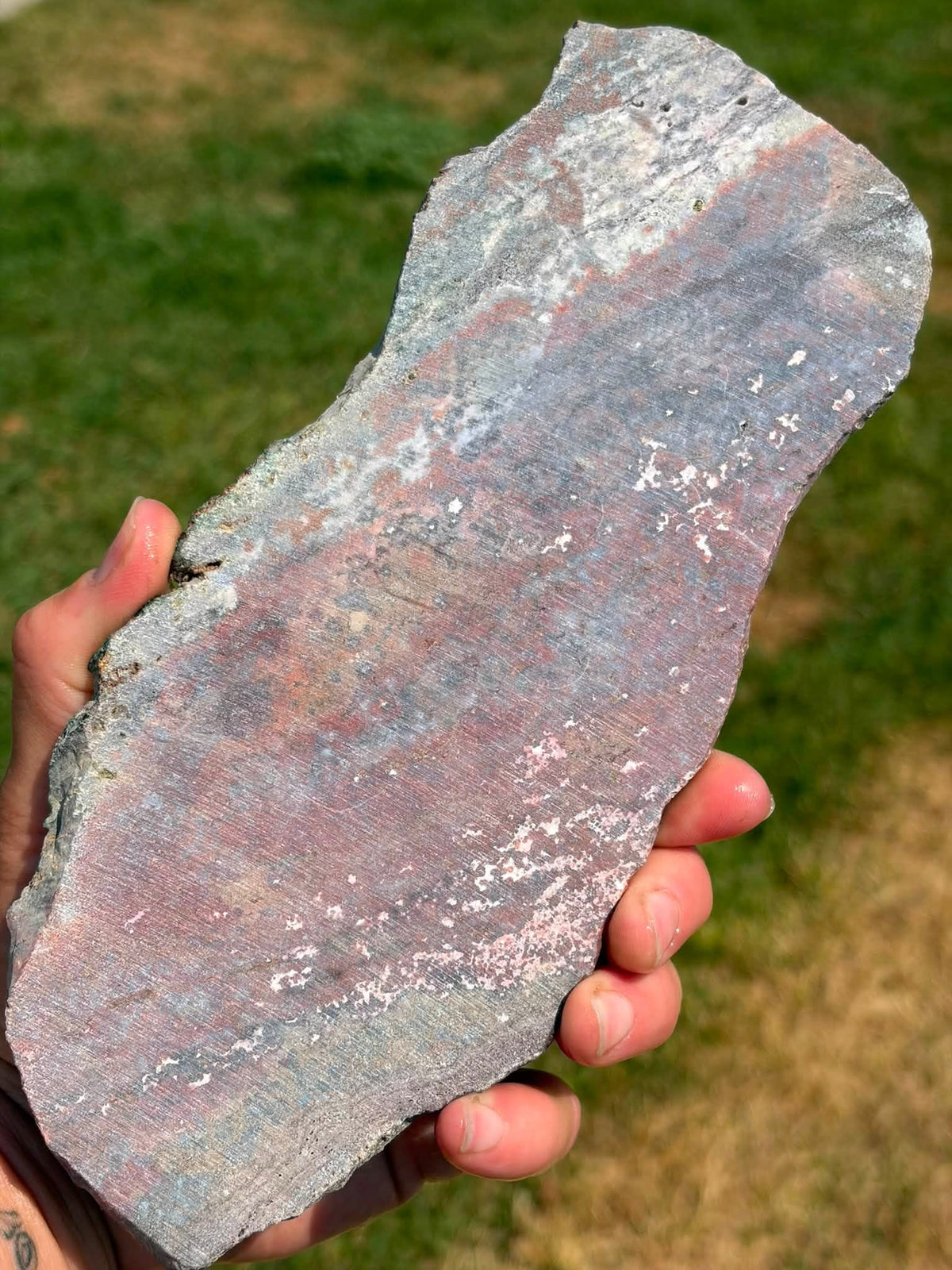 Supplier photograph of Ocean Jasper slab shown wet outdoors