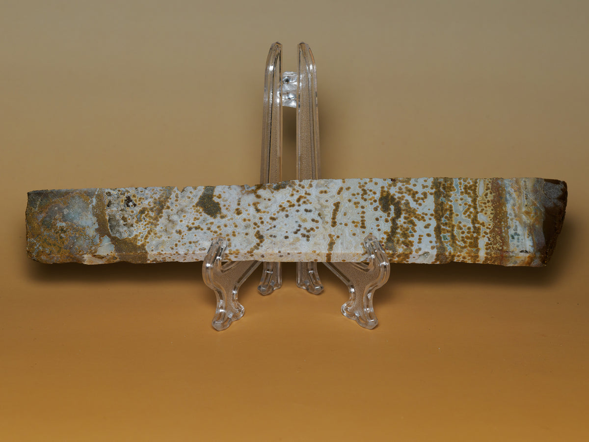 Reverse face of the elongated river jasper slab, displayed upright on a clear stand