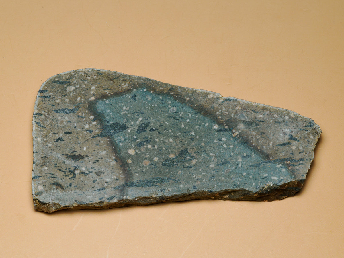 Silicified pyroclastic slab lying flat, showing its full irregular shape and sawn face