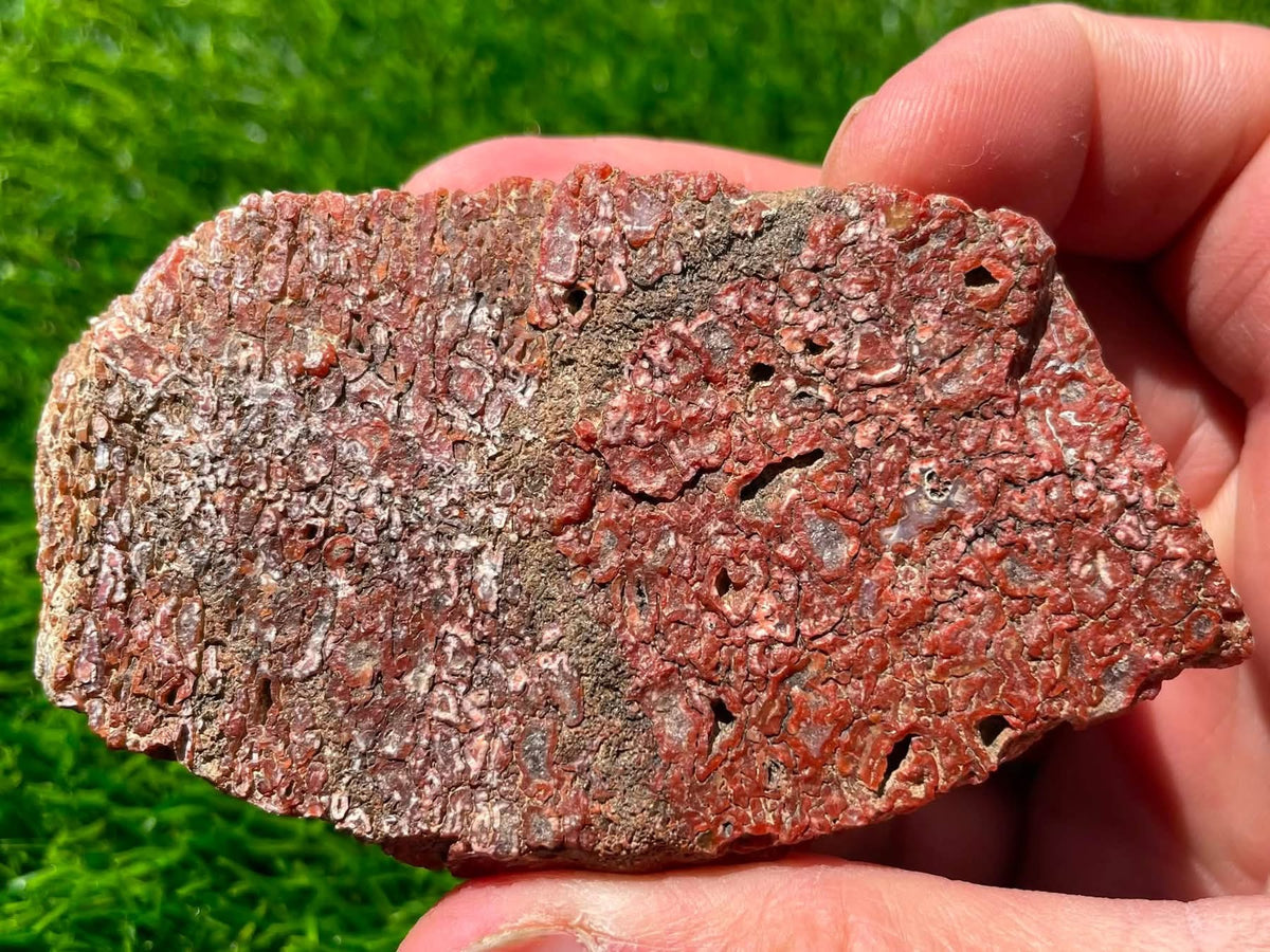 Supplier photo of the reverse side of the large Utah dinosaur gem bone slab